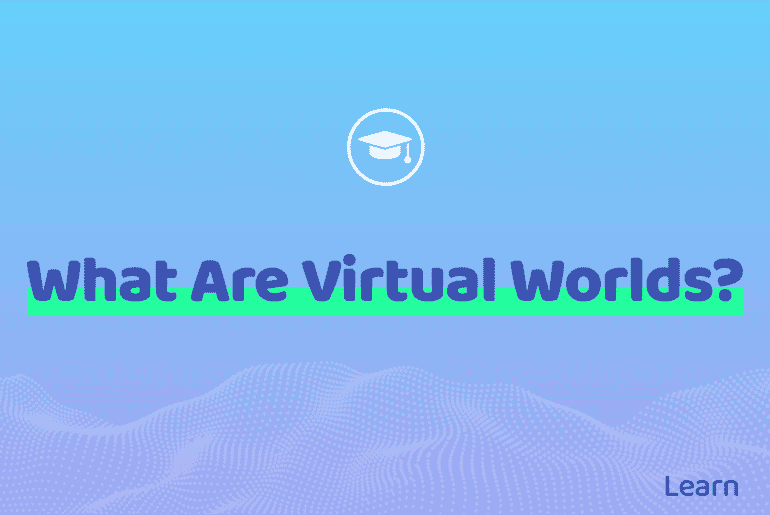 What Are Virtual Worlds?